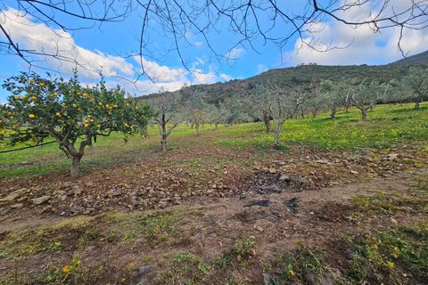 Villa i Collesano, Palermo, Collesano - € 185.000 | Ref: 10625 - foto 18